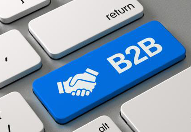 B2B Sistemleri
